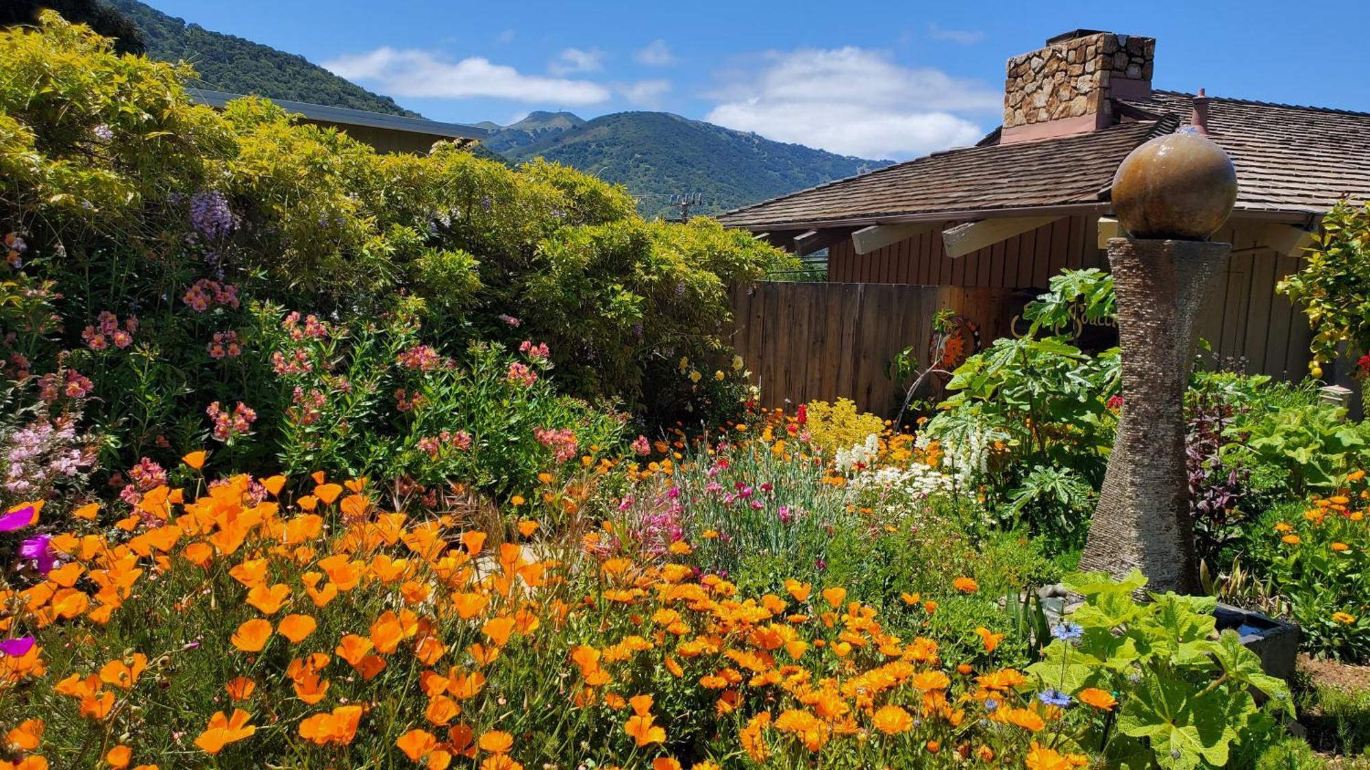 Carmel Valley Lodge Екстериор снимка
