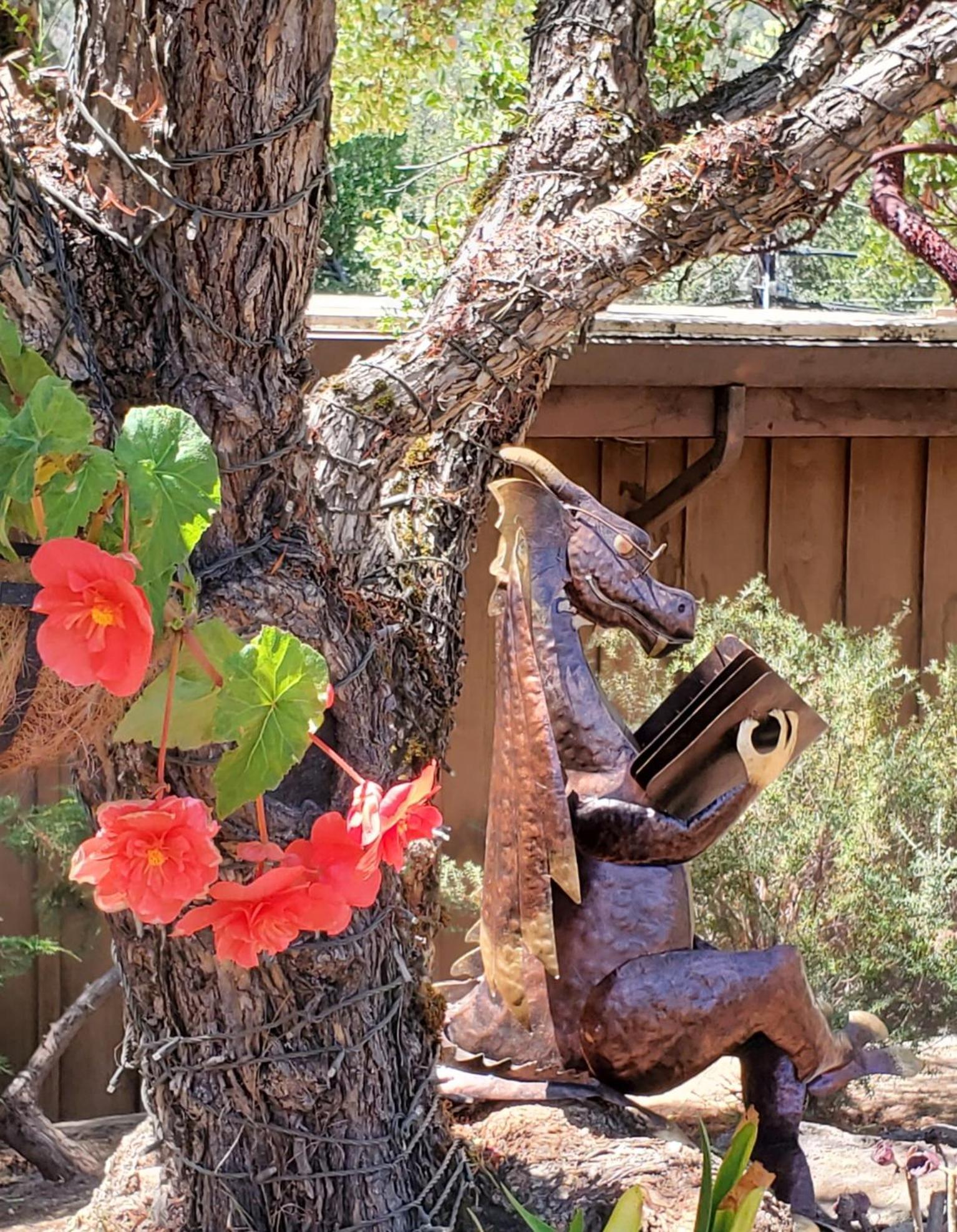 Carmel Valley Lodge Екстериор снимка